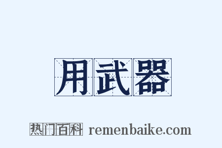 用武器是什么意思的图片